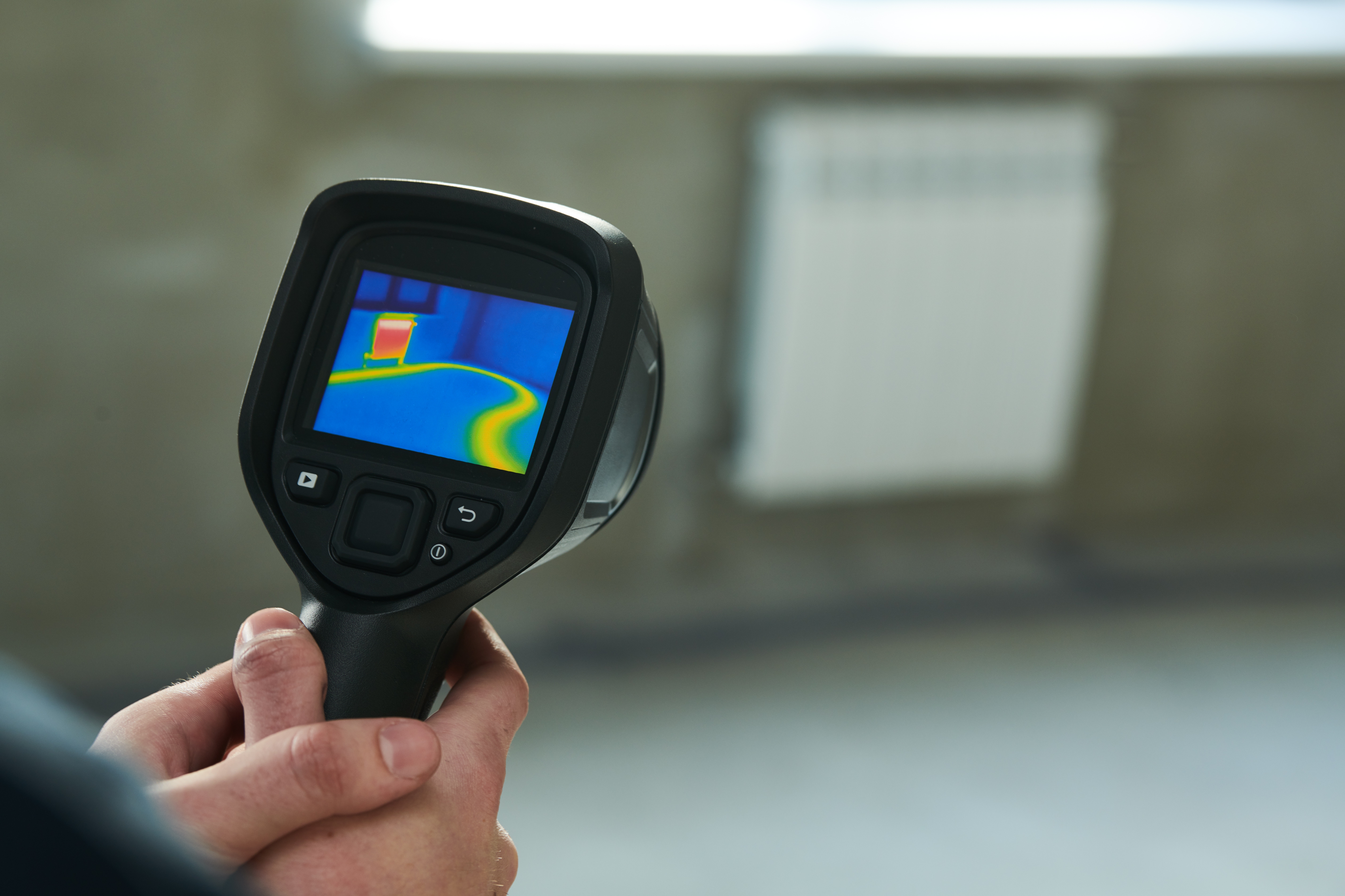 Shutterstock 2136547345