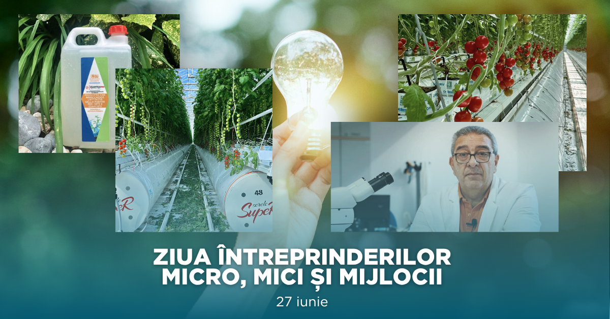 Campanie Primăvară Linkedin (1)