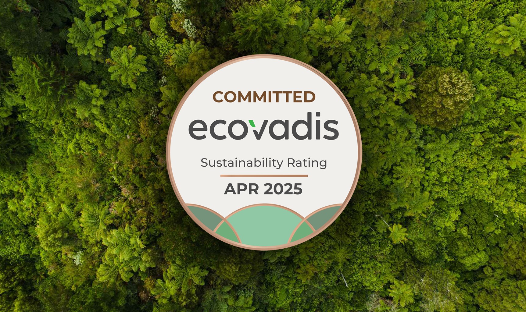 Ecovadis Website Graphics